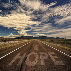Hope freestyle dressage to music