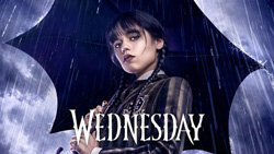 Wednesday dressage to music